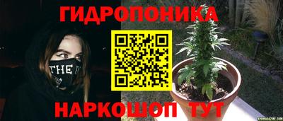 ешки Чебоксары