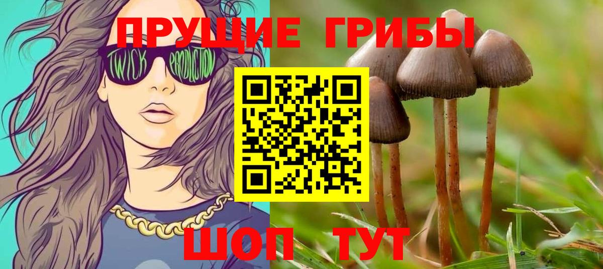 Псилоцибиновые грибы Psilocybine cubensis  наркота  Ялта  Псилоцибиновые грибы Psilocybine cubensis  Вход с VPN 